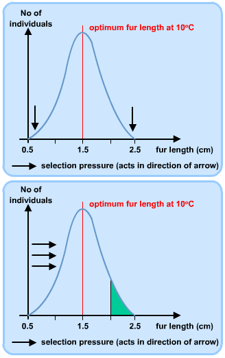 Alevel生物素材2.png