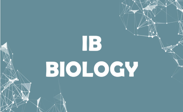 IB生物SL和HL区别大吗？该怎么选？