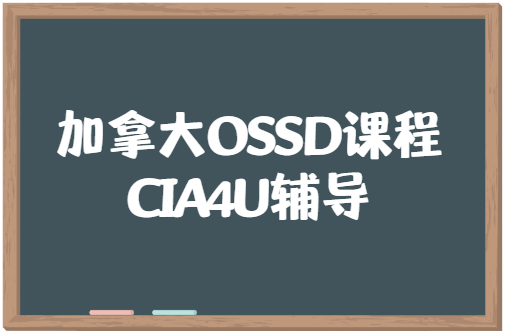 加拿大OSSD经济学CIA4U课程内容详解