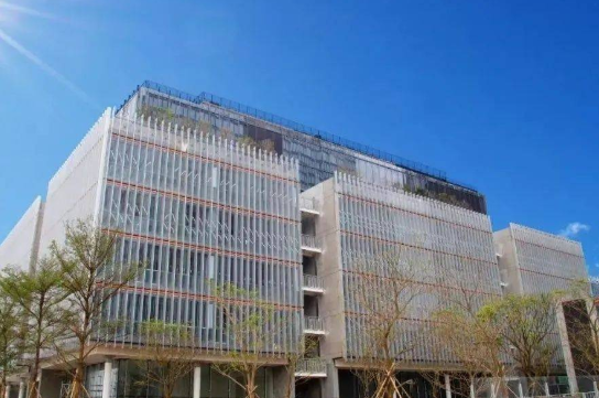 2023年深圳热门国际学校入学考试时间及内容汇总