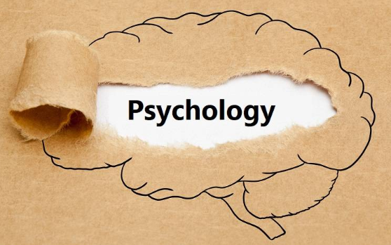 AP心理学考试题型是怎样的？如何高效备考AP心理学？