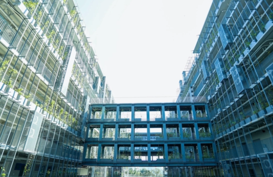 2023年深圳A-level国际学校TOP10排名一览表