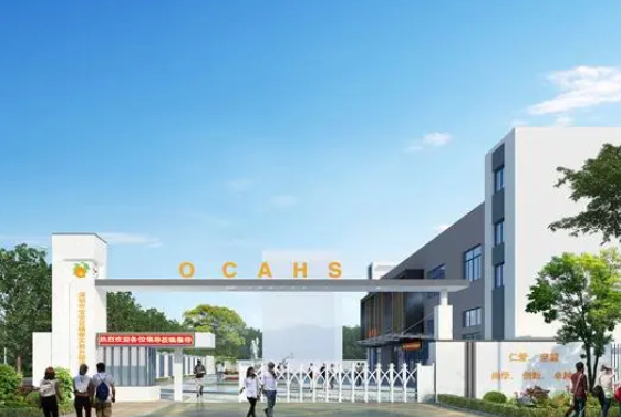 北京开设dse课程的国际学校有哪些？
