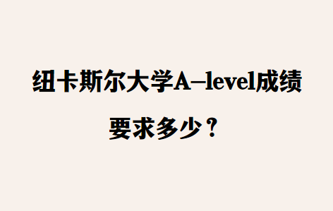 2023年纽卡斯尔大学A-level成绩要求多少？
