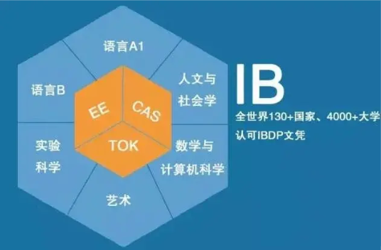 新学期即将到来！IB学生该如何选课及规划？