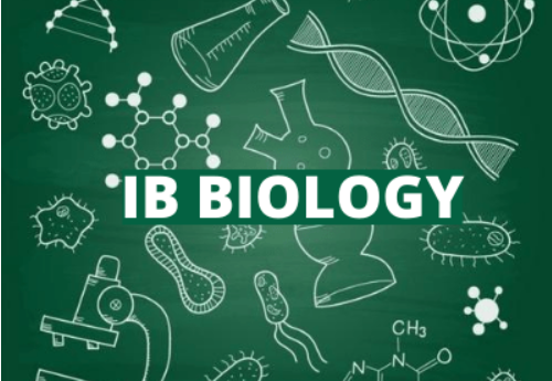 IB生物难吗？如何突破难点拿到7分？