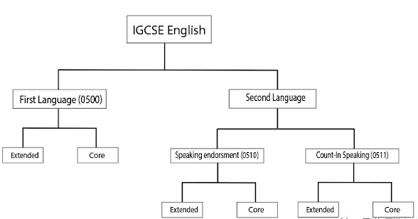 IGCSE英语课程有几门？不同考试局有什么不同？