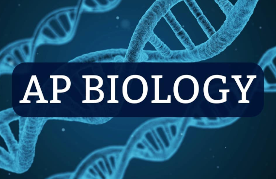 AP生物难吗？如何准备AP生物考试？