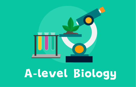 爱德思A-level生物课程大纲及考核方式详解！