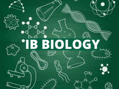 IB生物怎么学？六种方法帮你拿7分！