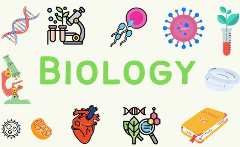 美国高中生物课程有哪些内容？