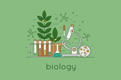 IB生物HL课程IA有哪些比较新颖的选题？