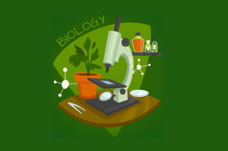 IB生物SL课程IA选题有哪些比较好的？