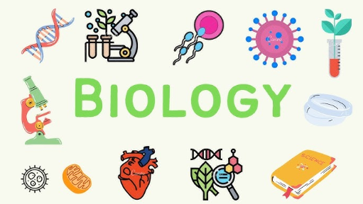 IB生物IA选题怎么选？有哪些要求？