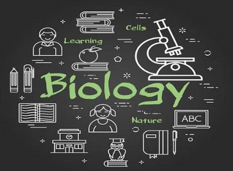 IGCSE生物和国内生物哪个难？学习哪些内容？