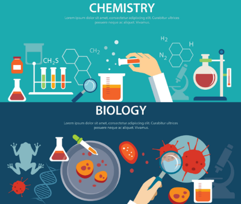 IB生物和化学哪个好拿分？