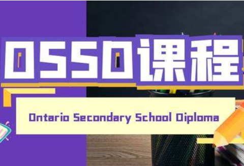 读OSSD课程需要多少钱？