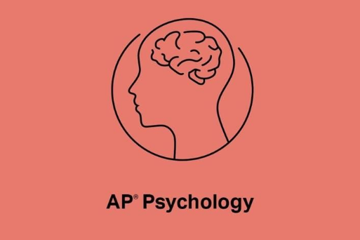 AP心理学难吗？适合哪类学生？