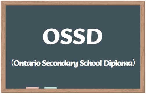 OSSD评分标准是怎样的？