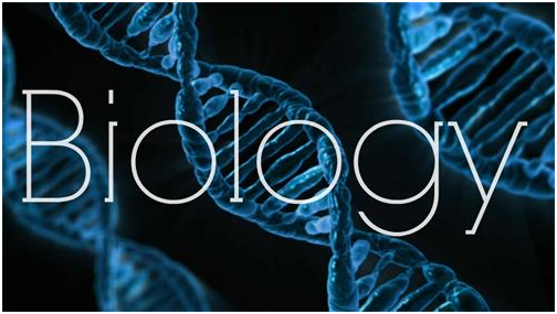 GCSE生物知识点有哪些？