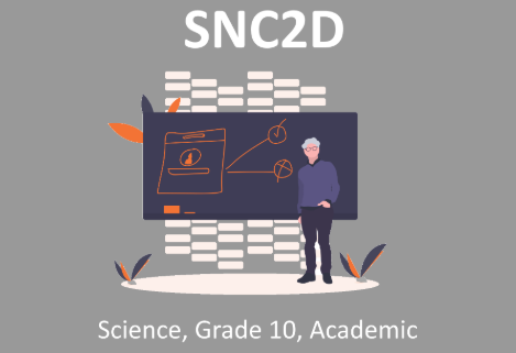 加拿大10年级科学SNC2D课程详解！