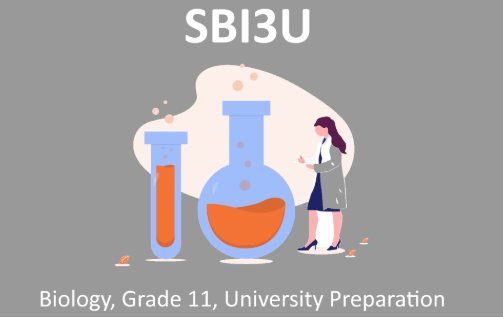 加拿大11年级生物SBI3U课程知识总结！