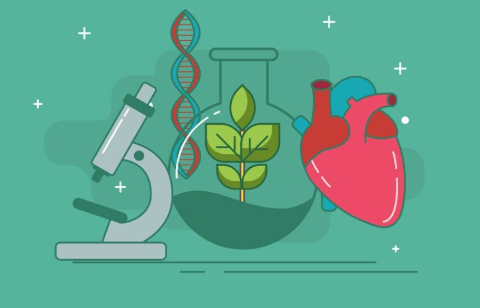 澳洲高中WACE生物课程详细介绍！