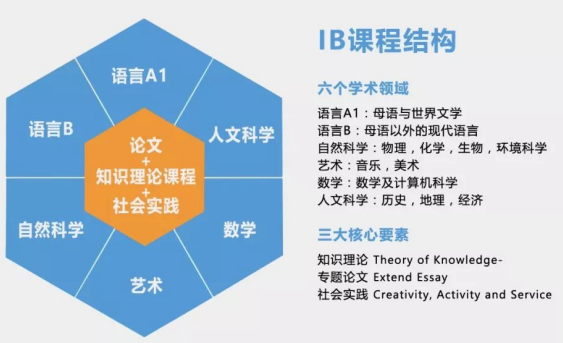 IB课程体系是什么？一文为你讲清楚！