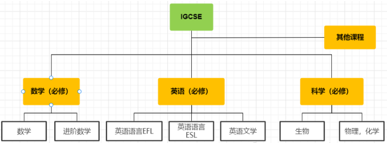IGCSE课程学什么？