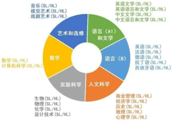 AP和IB有什么区别？哪种课程更适合你？