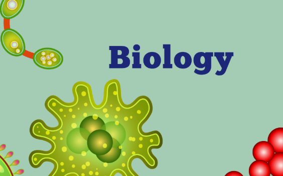 美高九年级生物学什么？课程难度大吗？