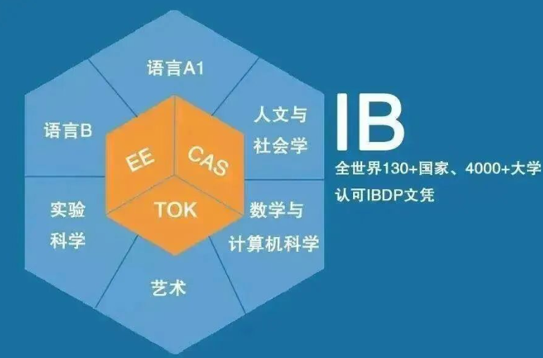 IA/EE/TOK再不规划就晚了！高分通关秘籍来袭！