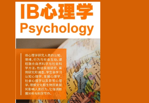 IB心理学：孩子未来升学路上的“隐藏王牌”学科！
