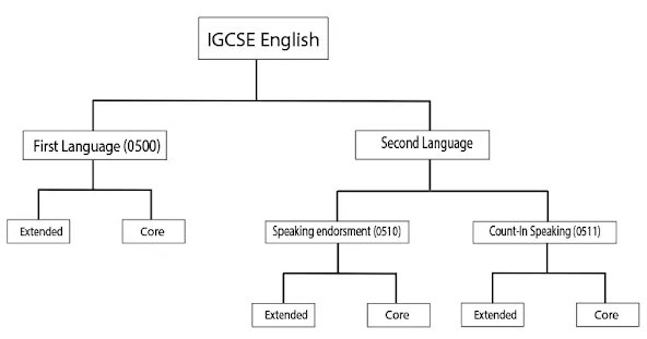 IGCSE英语语言课程分类