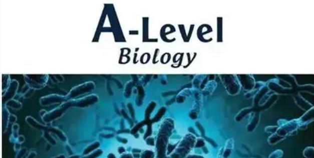 惟世A-Level生物暑期预习课程 | 开学直接冲A* 惟世A-Level生物暑期预习课程 | 开学直接冲A*